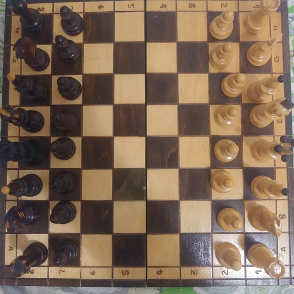 Meet your Posher, Lucio - Picture 2 of 3